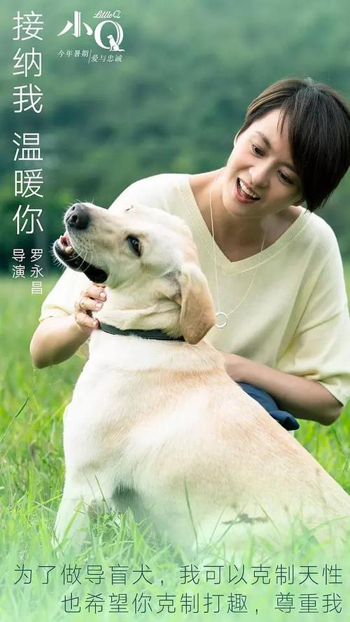 宾州爱丁堡大学文凭毕业证哪里可以做假的